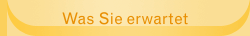 Was Sie erwartet