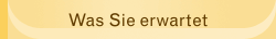 Was Sie erwartet
